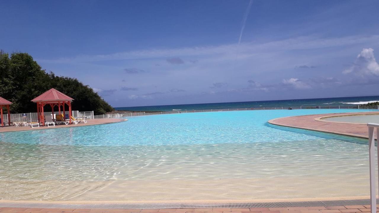 Petit Paradis Appartement